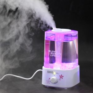 Warm or Cool Mist Humifier